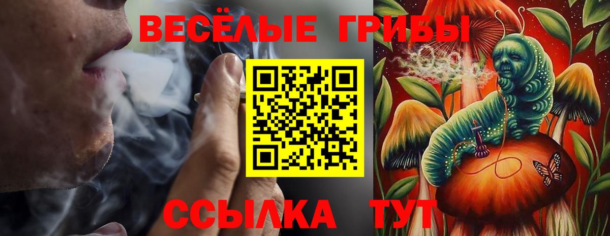 где продают   Псилоцибиновые грибы мухоморы  Вход с VPN  Миллерово 